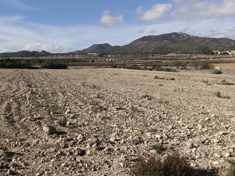 Plot for Sale in Salinas, Alicante 4