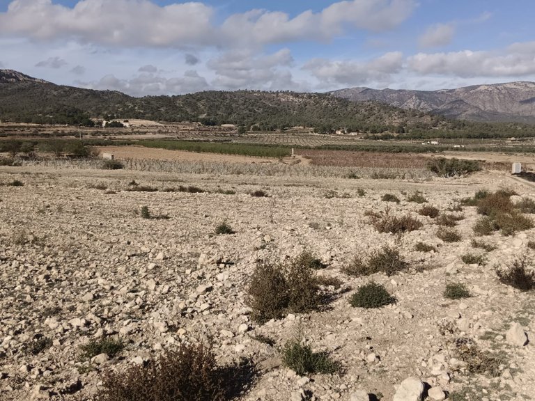 Plot for Sale in Salinas, Alicante 6
