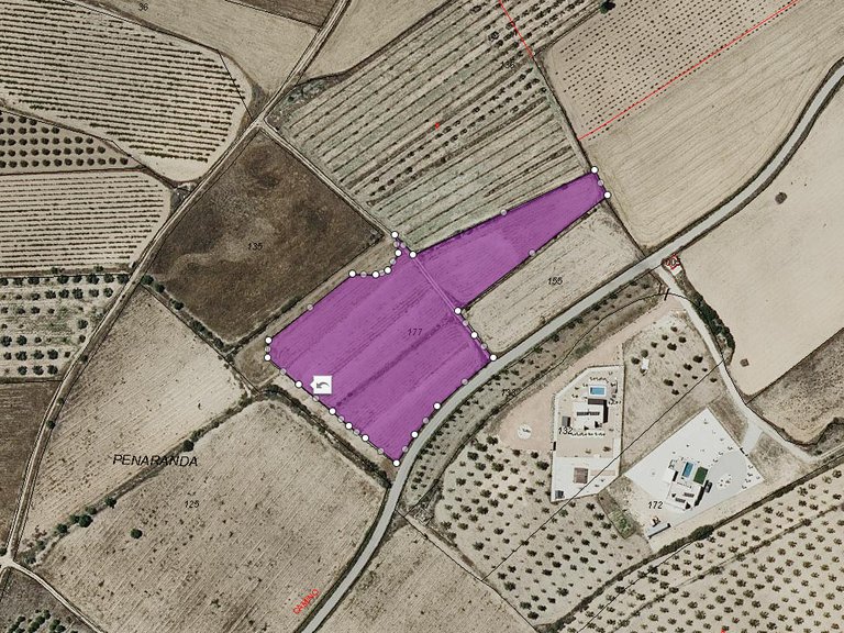 Plot for Sale in Salinas, Alicante 8