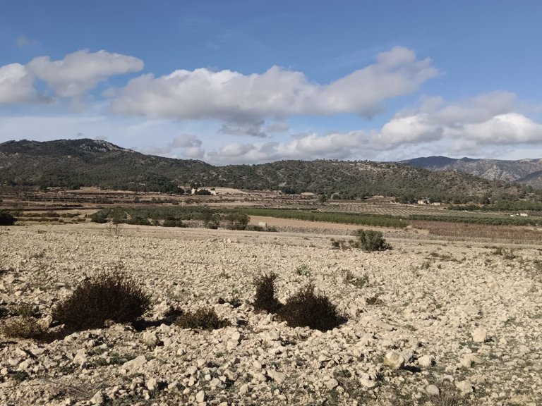 Plot for Sale in Salinas, Alicante 1