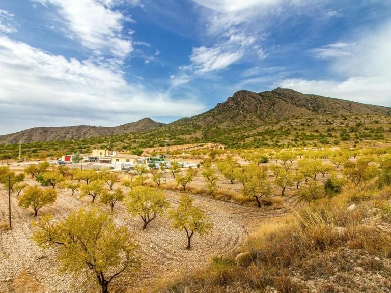 Villa for Sale in Jumilla, Murcia 2