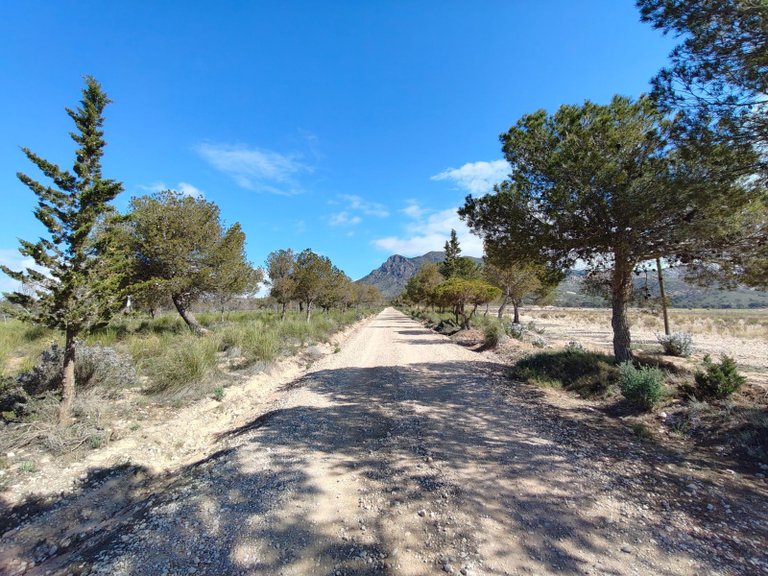 Villa for Sale in Jumilla, Murcia 34