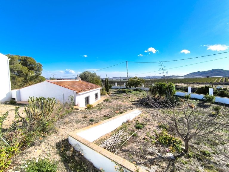 Villa for Sale in Novelda, Alicante 22