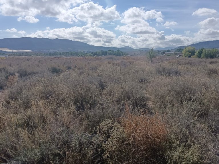 Plot for Sale in Salinas, Alicante 4