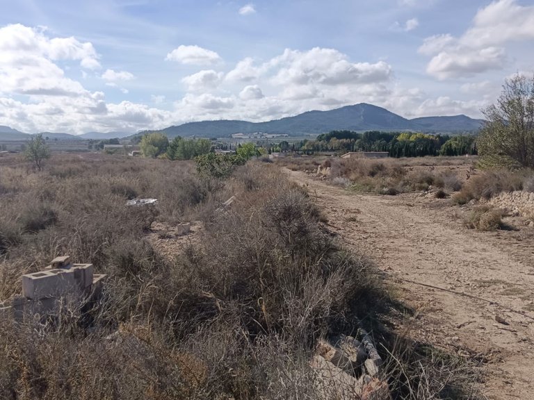 Plot for Sale in Salinas, Alicante 2