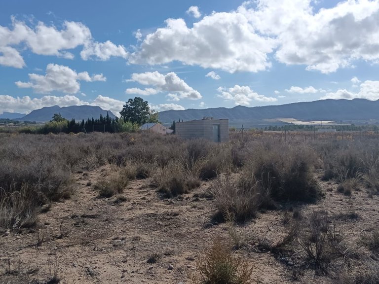 Plot for Sale in Salinas, Alicante 7