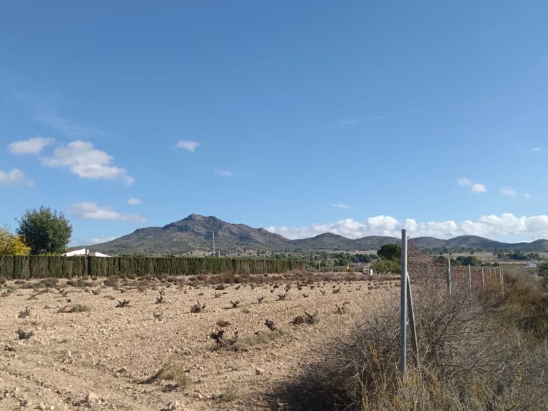 Plot for Sale in Salinas, Alicante 5