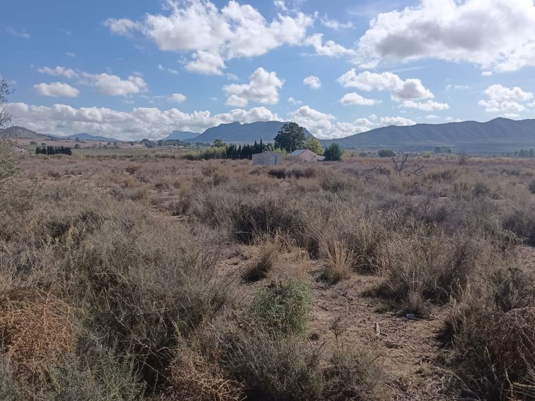 Plot for Sale in Salinas, Alicante 3