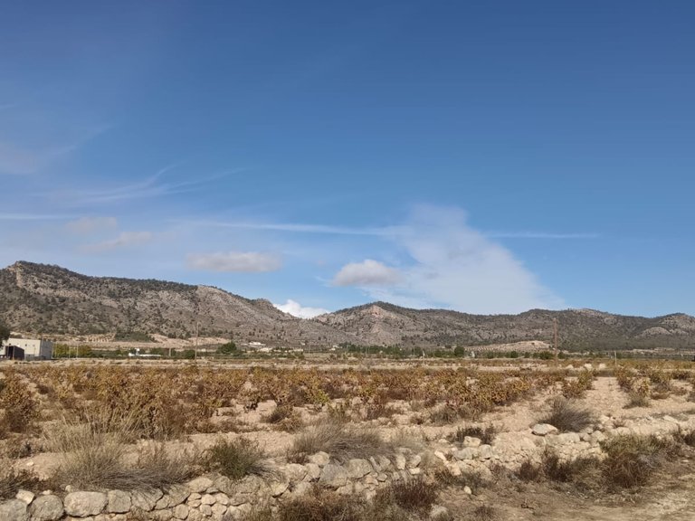 Plot for Sale in Salinas, Alicante 1