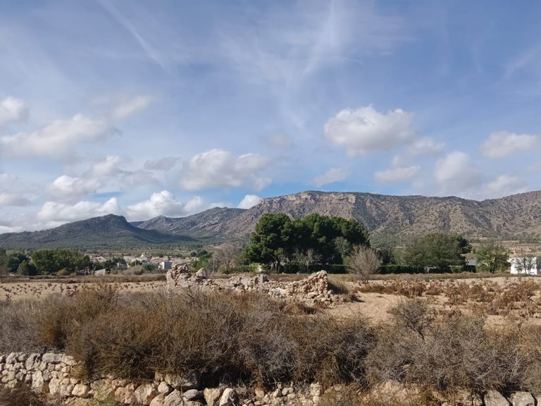 Plot for Sale in Salinas, Alicante 6