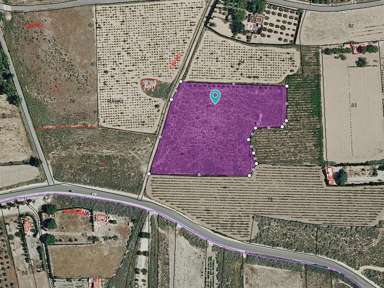 Plot for Sale in Salinas, Alicante 8