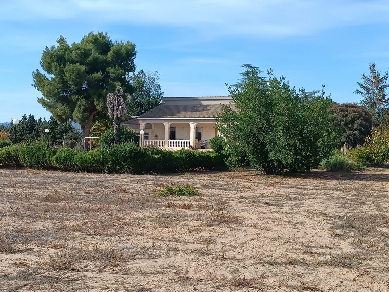 Villa for Sale in Inland Yecla, Murcia 7
