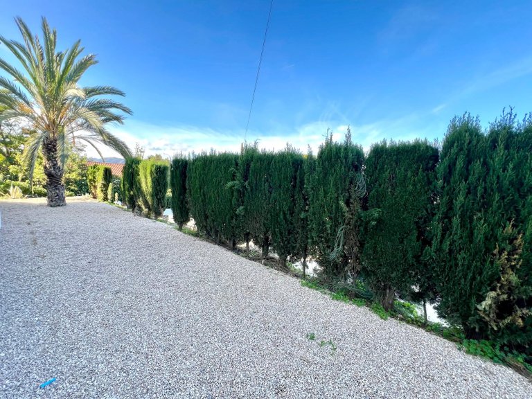 Villa for Sale in Elda, Alicante 45