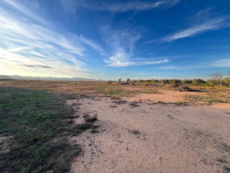Country House for Sale in Yecla, Murcia 36