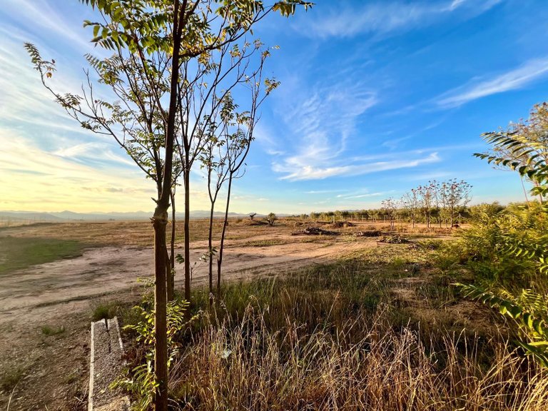 Country House for Sale in Yecla, Murcia 3