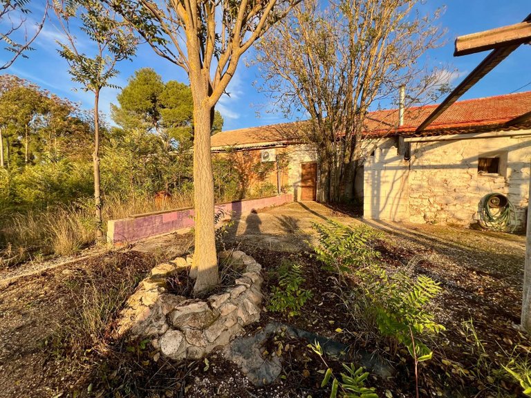 Country House for Sale in Yecla, Murcia 32