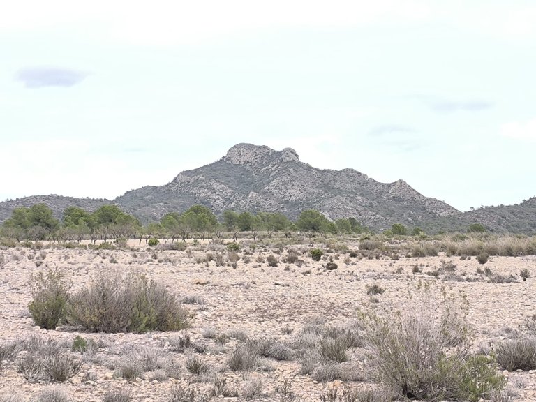 Plot for Sale in Salinas, Alicante 1