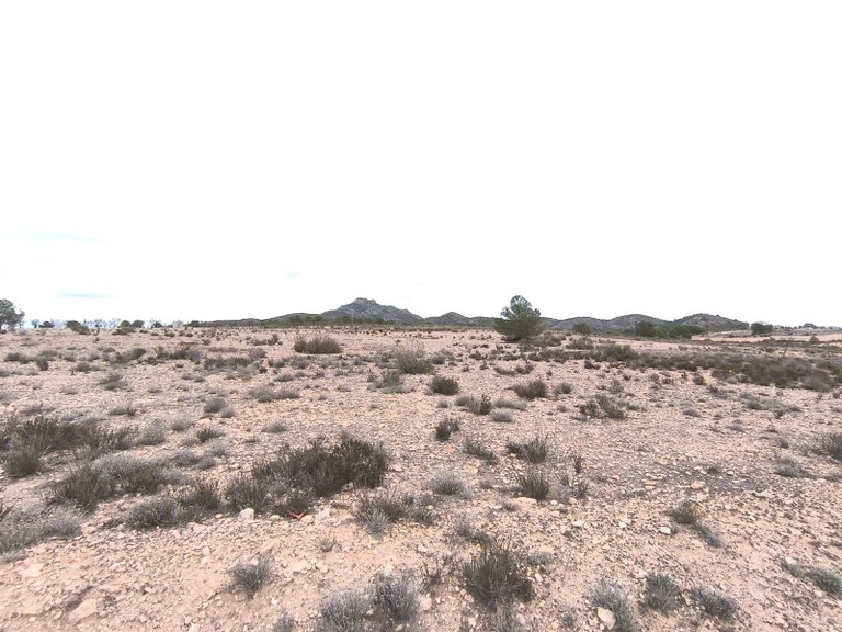 Plot for Sale in Salinas, Alicante 10