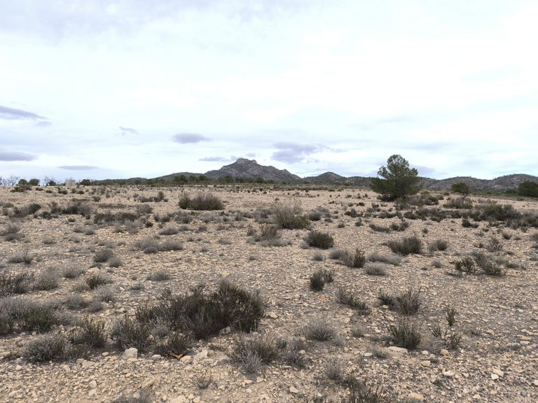 Plot for Sale in Salinas, Alicante 3