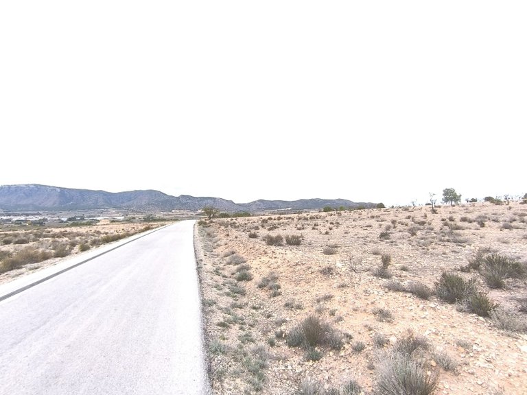 Plot for Sale in Salinas, Alicante 11