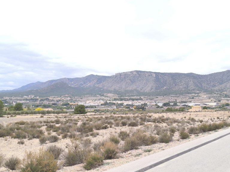 Plot for Sale in Salinas, Alicante 6