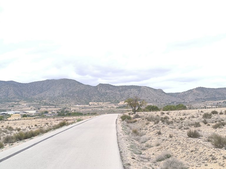 Plot for Sale in Salinas, Alicante 5