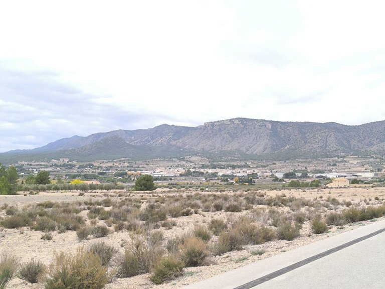 Plot for Sale in Salinas, Alicante 8