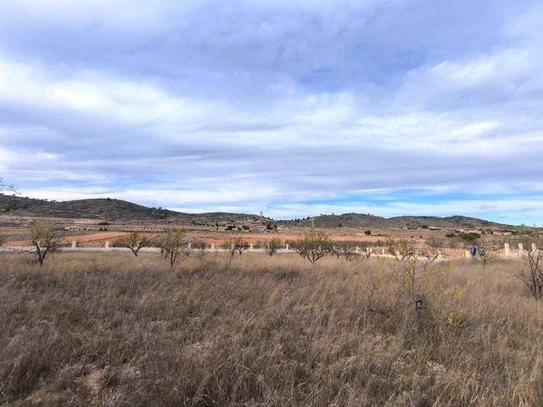 Plot for Sale in Canada De La Lena, Murcia 4