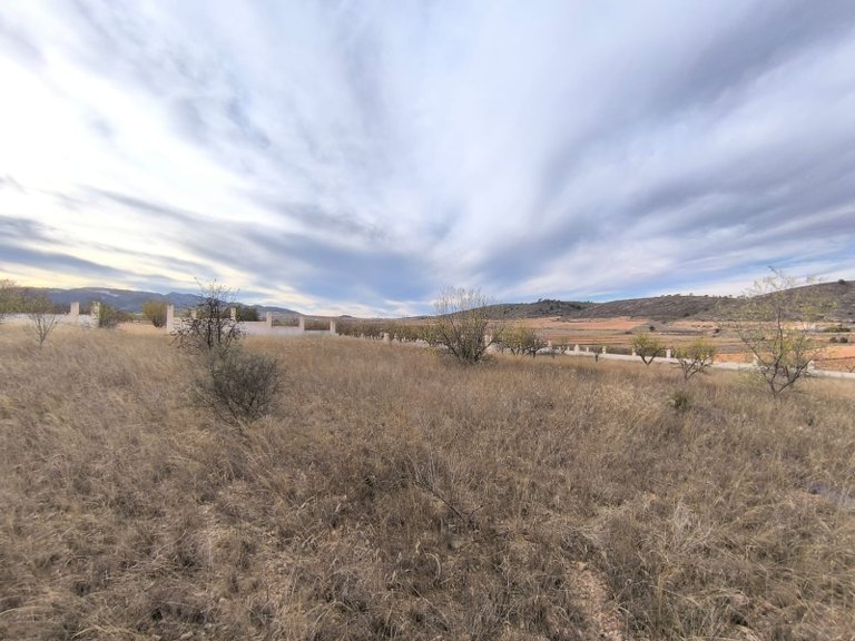 Plot for Sale in Canada De La Lena, Murcia 5