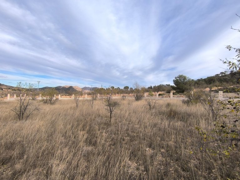 Plot for Sale in Canada De La Lena, Murcia 2