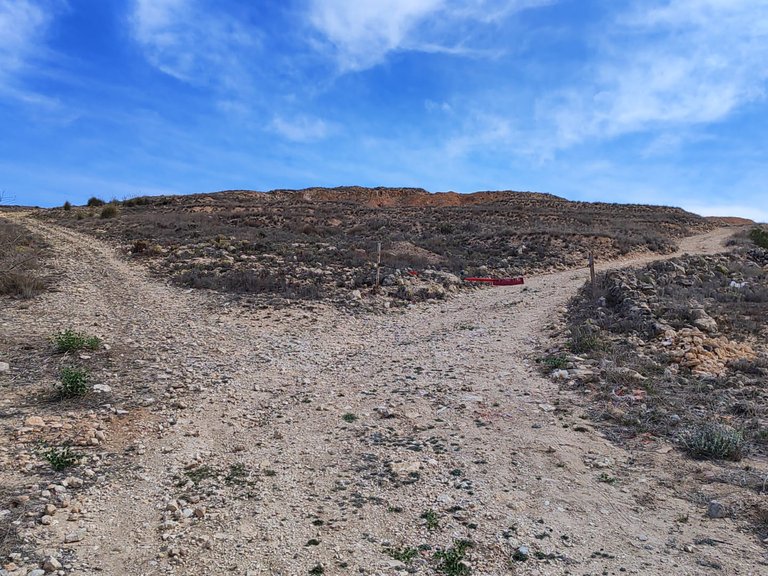 Plot for Sale in Pinoso, Alicante 9