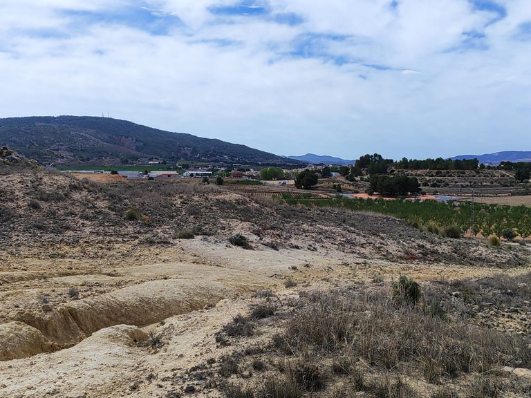 Plot for Sale in Pinoso, Alicante 14