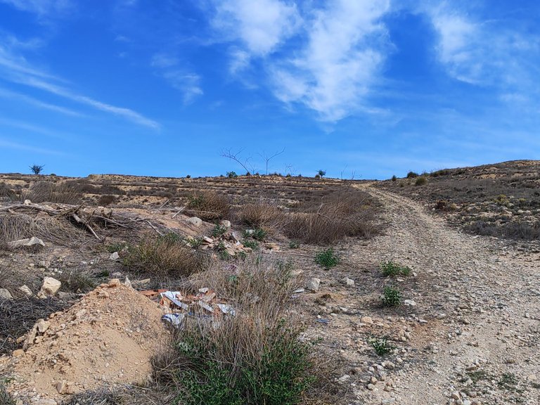Plot for Sale in Pinoso, Alicante 10