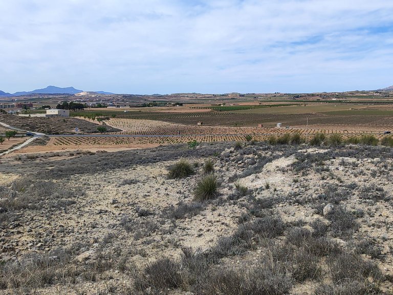 Plot for Sale in Pinoso, Alicante 13