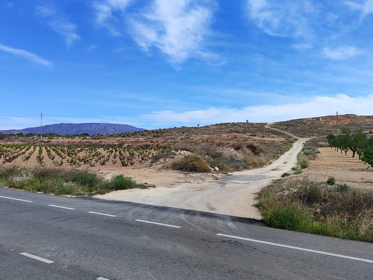 Plot for Sale in Pinoso, Alicante 8
