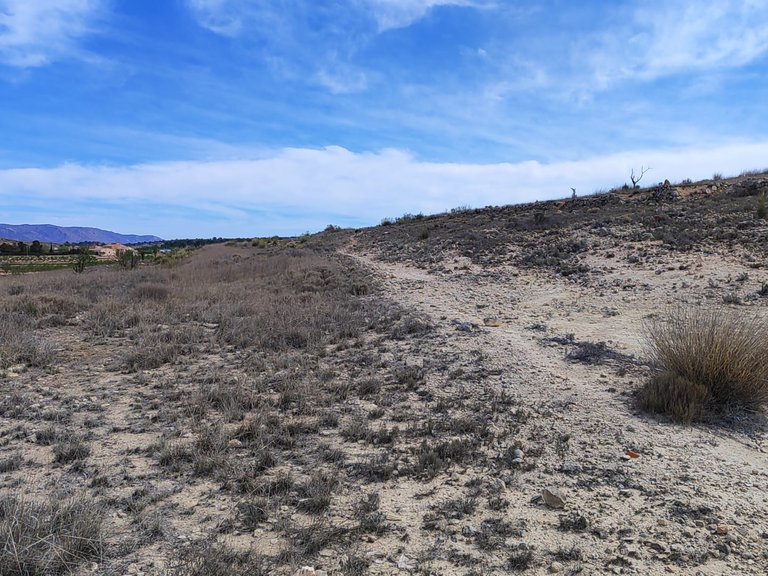 Plot for Sale in Pinoso, Alicante 11