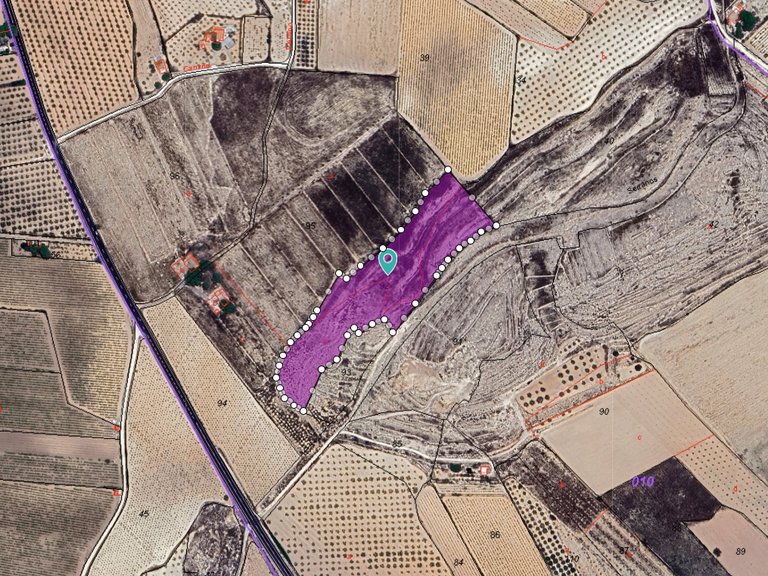 Plot for Sale in Pinoso, Alicante 2