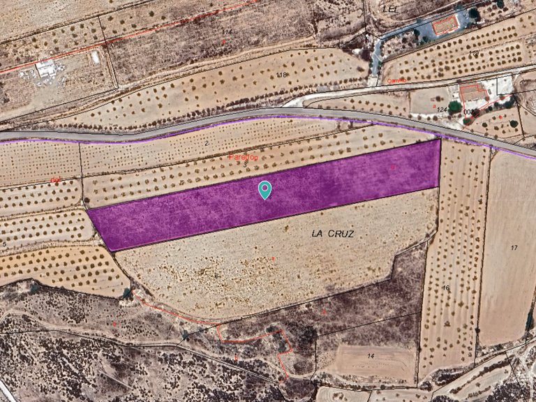 Plot for Sale in Pinoso, Alicante 3