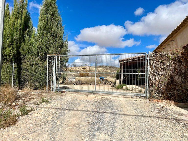Country House for Sale in Pinoso, Alicante 29