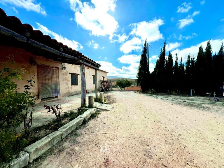 Country House for Sale in Pinoso, Alicante 22