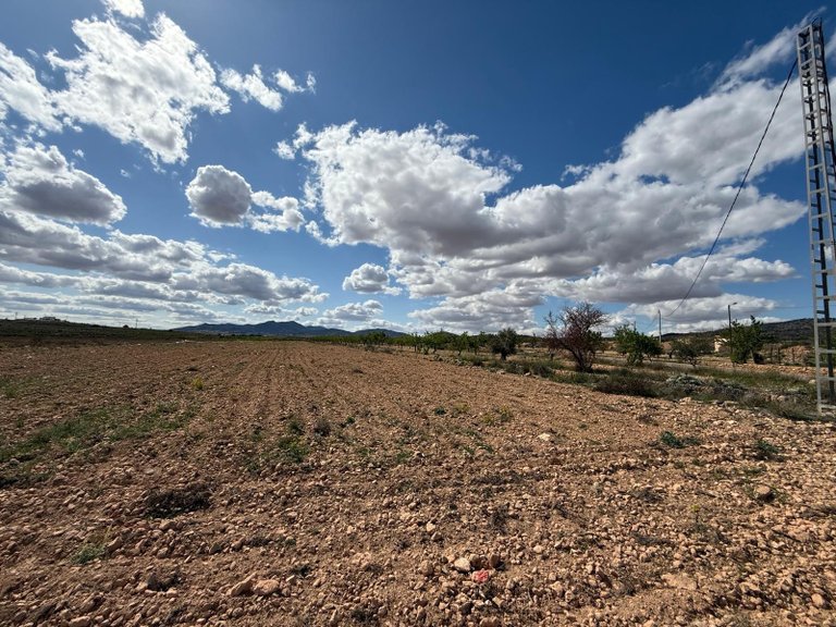 Plot for Sale in Pinoso, Alicante 1