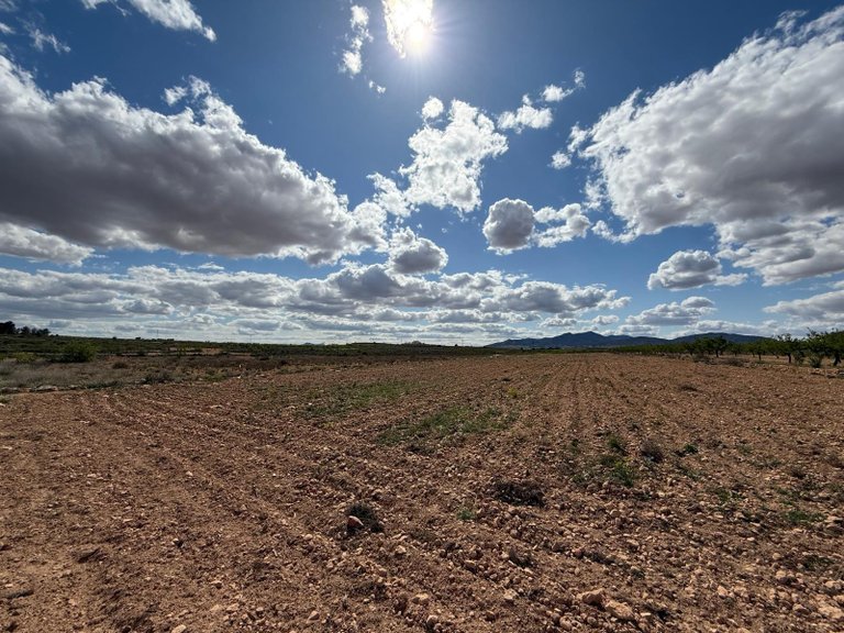 Plot for Sale in Pinoso, Alicante 4