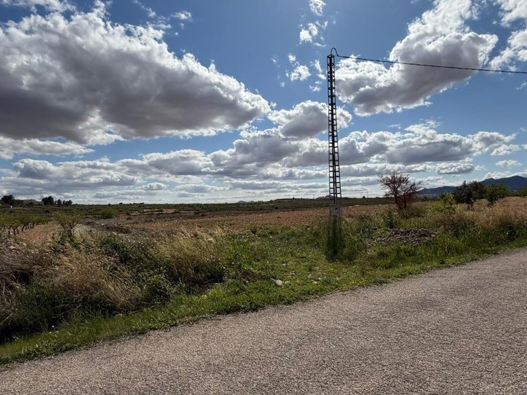 Plot for Sale in Pinoso, Alicante 5