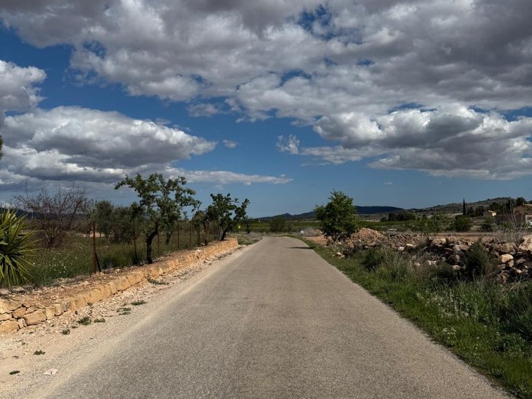 Plot for Sale in Pinoso, Alicante 2