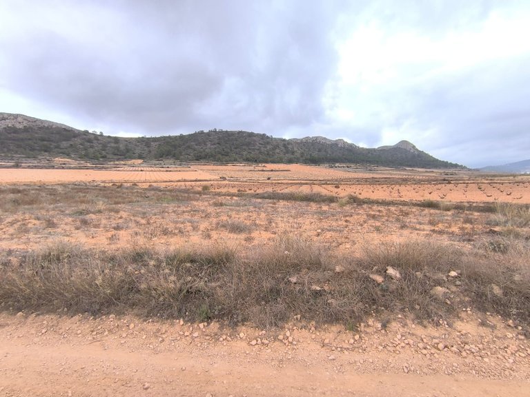Plot for Sale in La Solana, Alicante 1