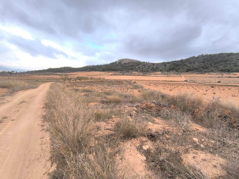 Plot for Sale in La Solana, Alicante 2