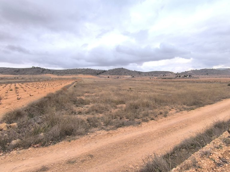 Plot for Sale in La Solana, Alicante 2