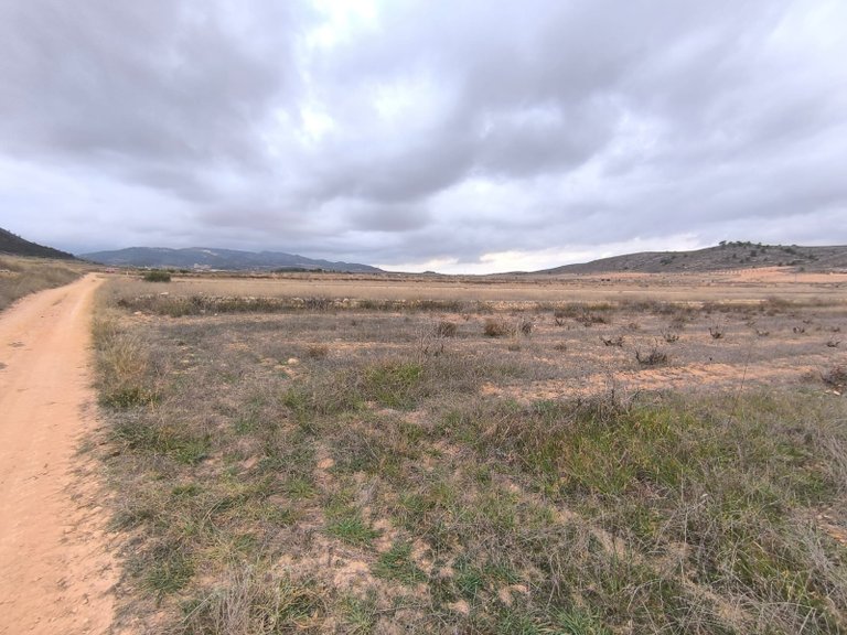 Plot for Sale in La Solana, Alicante 2