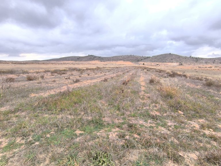 Plot for Sale in La Solana, Alicante 1