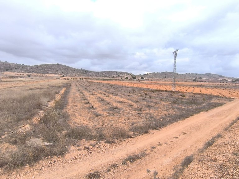 Plot for Sale in La Solana, Alicante 1